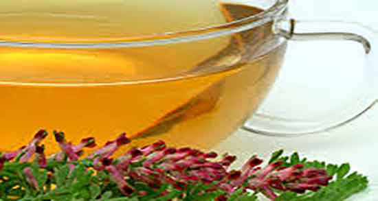 فواید شاه تره در طب سنتی ؛ خواص دارویی شاه تره از نظر طب سنتی