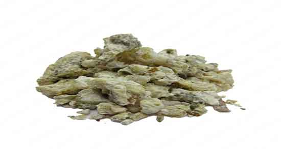 فواید شیرخشت برای بزرگسالان ؛ خواص شیرخشت برای کنترل فشار خون فواید شیرخشت برای بزرگسالان ؛ خواص شیرخشت برای کنترل فشار خون