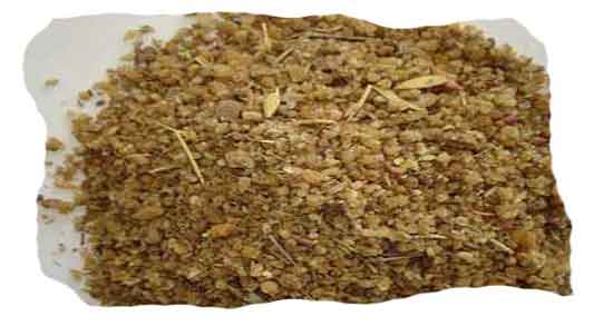 فواید شیرخشت برای لاغری ؛ خاصیت شیرخشت برای چربی سوزی شکم