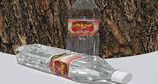 فواید عرق خارشتر برای سنگ کلیه ؛ ایا عرق خارشتر برای سنگ کلیه مفیده