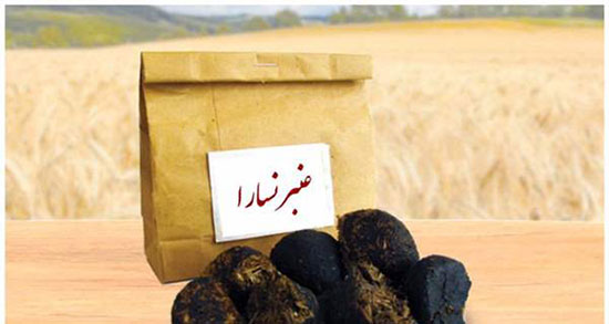 فواید عنبر نسا برای عفونت ؛ خواص مصرف عنبر نسا برای عفونت ادراری