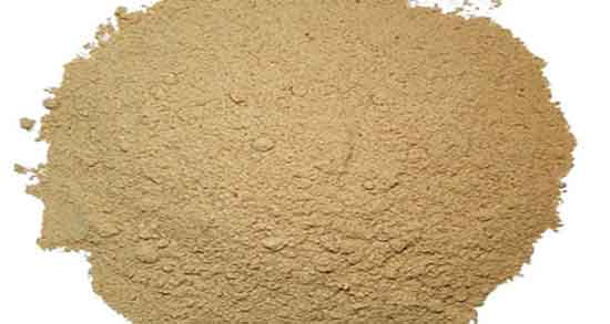 فواید مازو برای مو ؛ خواص خوردن مازو تازه برای تقویت ریشه موی سر