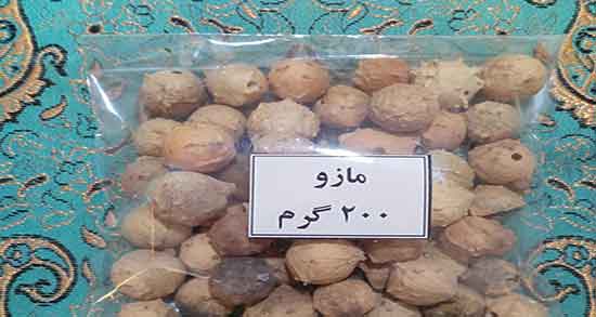 فواید مازو ؛ طریقه مصرف مازو برای درمان عفونت واژن زنان چگونه است