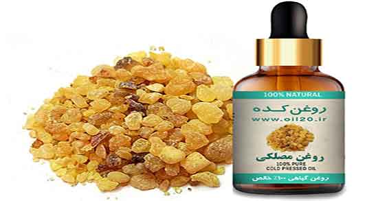 فواید مصطکی برای بدن ؛ خواص خوردن مصطکی برای تقویت حافظه