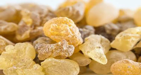 فواید مصطکی برای مو ؛ خواص روغن مصطکی برای تقویت پوست و مو