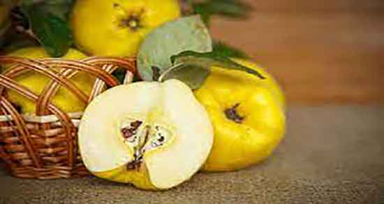 فواید و مضرات به دانه ؛ خواص مصرف به دانه پخته برای کودکان چیست