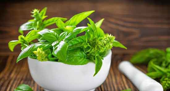 فواید و مضرات دمنوش ریحان ؛ خاصیت و مضرات دمنوش ریحان برای معده