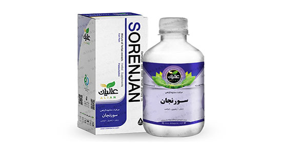 فواید و مضرات روغن سورنجان ؛ خواص مصرف سورنجان برای درد مفاصل
