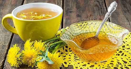 فواید و مضرات ریشه قاصدک ؛ خاصیت چای ریشه قاصدک برای بدن