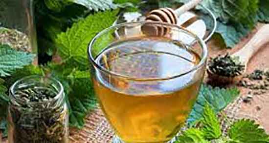 فواید و مضرات چای گزنه ؛ خواص و عوارض مصرف چای گزنه چیست