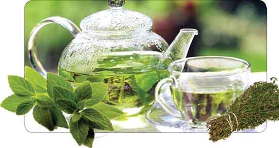 فواید چای پونه و آویشن ؛ خواص چای آویشن و پونه برای یبوست کودکان