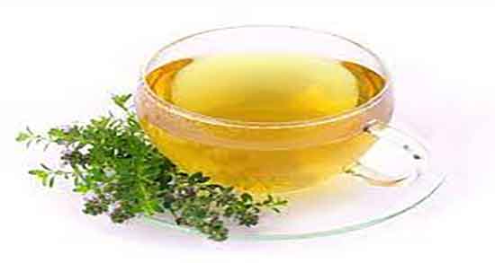 فواید چای پونه کوهی ؛ خاصیت و مضرات چای پونه کوهی برای سرماخوردگی