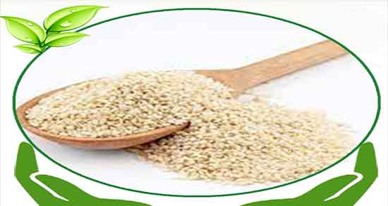 فواید کنجد سفید برای مو ؛ خاصیت کنجد سفید برای تقویت موی سر