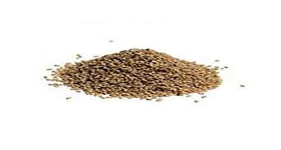 فواید کنجد قهوه ای ؛ خاصیت مصرف کنجد قهوه ای برای جنین زنان باردار