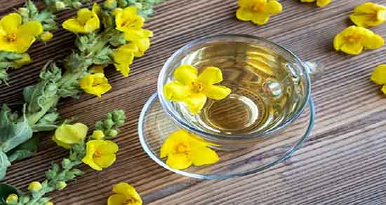 فواید گل ماهور یا خرگوشک ؛ خاصیت خرگوشک و گل ماهور برای قند خون
