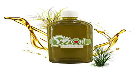 فواید گیاه اذخر ؛ خاصیت خوردن گیاه اذخر برای درمان عفونت رحم