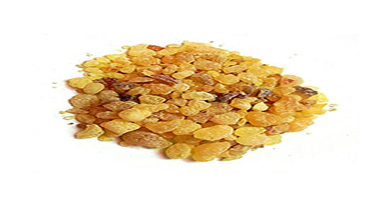 فواید گیاه مصطکی ؛ خاصیت مصرف گیاه مصطکی برای درمان عفونت ریه