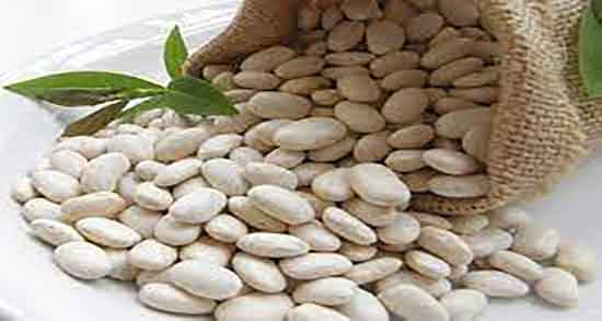 لوبیا در بارداری ؛ ایا مصرف لوبیا چیتی در بارداری برای جنین ضرر دارد