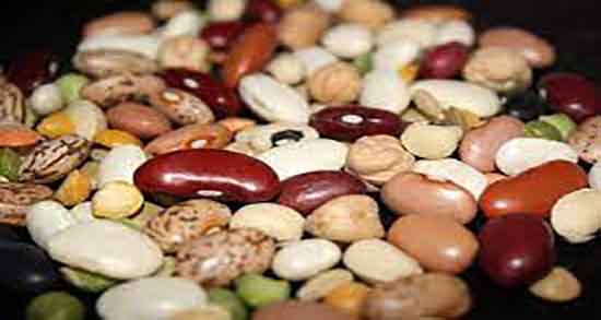 لوبیا و لاغری ؛ کالری خوراک لوبیا چیتی برای لاغری از نظر دکتر کرمانی