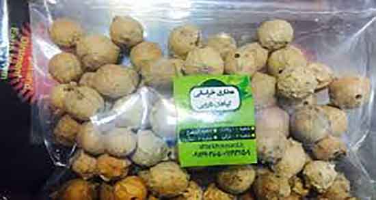 مازو برای بارداری ؛ فواید استفاده از مازو برای جنین زنان در دوران بارداری