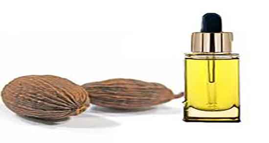 مازو چیه ؛ خاصیت مصرف مازو چیست و برای تقویت لثه مفید است