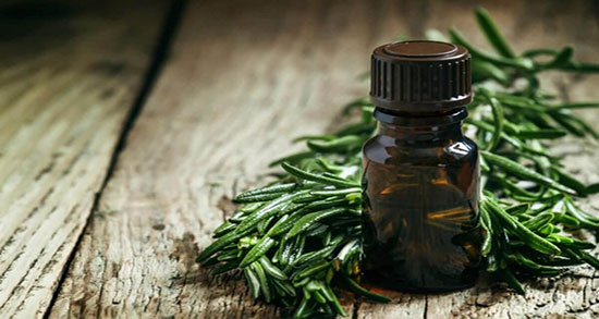 مشخصات روغن خرگوشک اصل ؛ تشخیص روغن خرگوشک اصل چگونه است