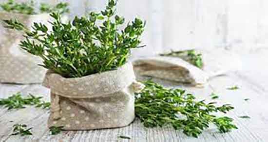 مصرف عرق آذربه در بارداری و خاصیت عرق آذربه در دوران بارداری زنان مصرف عرق آذربه در بارداری ؛ خاصیت عرق آذربه در دوران بارداری زنان