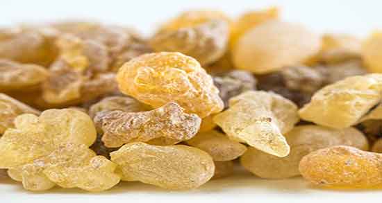 مصطکی و دیابت ؛ ایا مصرف مصطکی برای کنترل قند خون مفید است