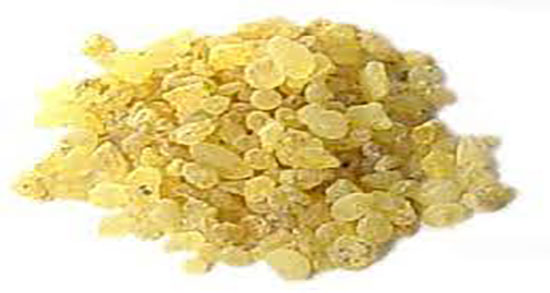 مصطکی و لاغری ؛ خاصیت استفاده از مصطکی برای لاغری شکم و پهلو