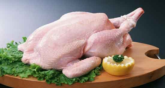 مصلح گوشت مرغ ؛ آشنایی با خواص و مصلح گوشت مرغ