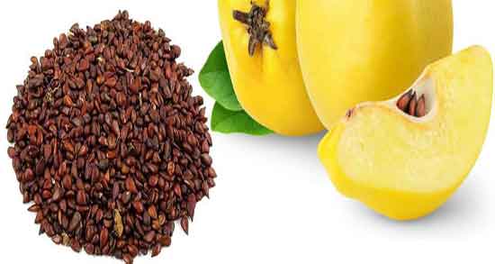 مضرات به دانه ؛ عوارض مصرف جویدن به دانه در دوران بارداری زنان