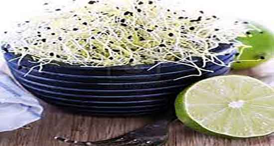 مضرات جوانه کنجد ؛ خواص و مضرات جوانه کنجد برای فشار خون