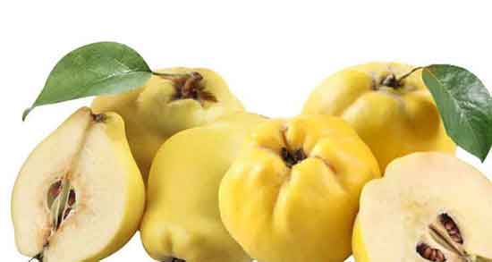 مضرات جویدن به دانه ؛ عوارض مصرف جویدن به دانه برای کودکان چیه