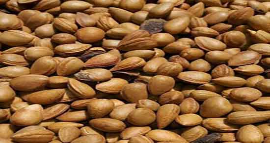 مضرات روغن الوک ؛ عوارض مصرف روغن الوک برای جنین زنان باردار