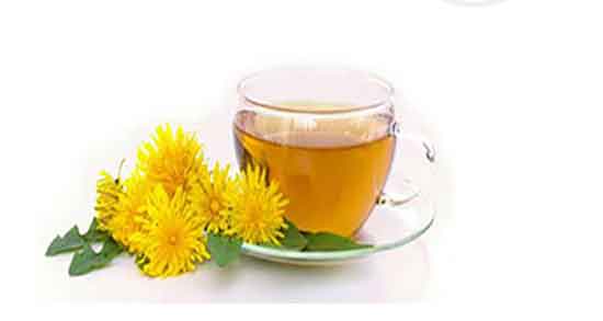 مضرات ریشه قاصدک ؛ ایا ریشه قاصدک برای سنگ کلیه مضر است