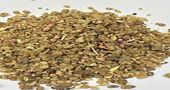 مضرات شیرخشت و ترنجبین برای نوزاد ؛ عوارض مصرف شیرخشت چیست