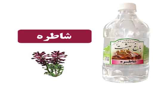 مضرات عرق شاه تره ؛ عوارض مصرف عرق شاتره در دوران بارداری زنان