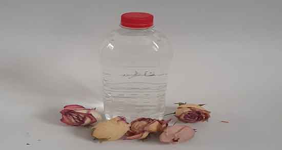 مضرات عرق شاه تره و کاسنی ؛ عوارض عرق کاسنی و شاتره برای چاقی