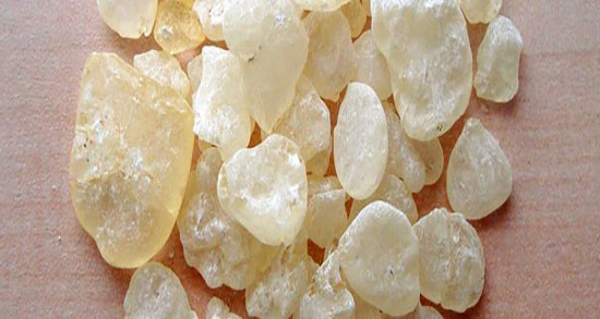 مضرات مصطکی صنعتی ؛ ایا گیاه مصطکی در صنعت داروسازی مضره