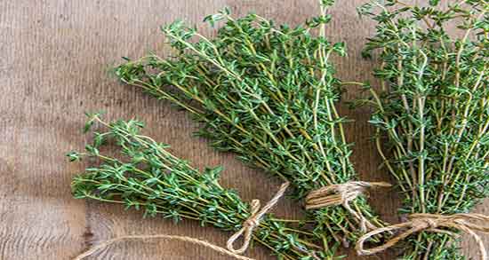 مضرات چای آویشن ؛ عوارض استفاده از چای اویشن برای سرماخوردگی