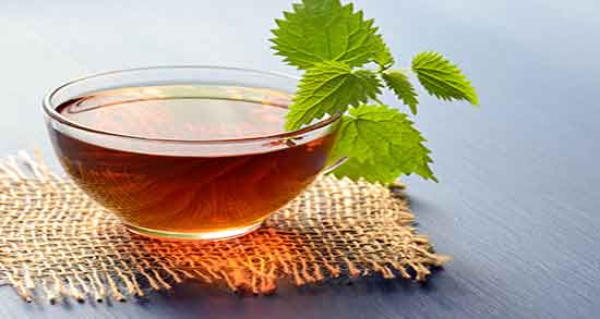 مضرات چای گزنه ؛ فواید و عوارض مصرف چای گزنه برای زنان باردار