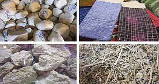 مضرات چوغان ؛ عوارض مصرف گیاه چوغان برای زنان باردار چیست