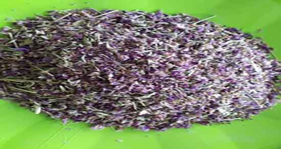 مضرات گل اروانه ؛ فواید و مضرات گل اروانه از نظر طب سنتی چیست