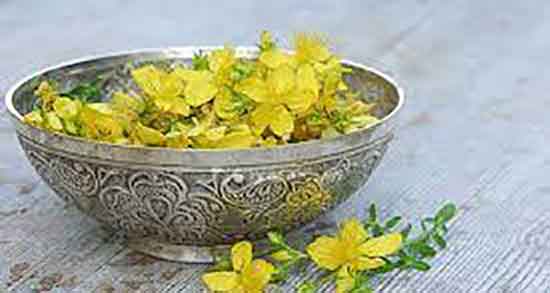 مضرات گل راعی ؛ خواص و مضرات گل راعی برای افسردگی زنان