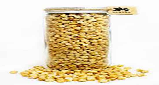 مضرات گندمک شیرین ؛ عوارض مصرف گندمک شیرین برای افراد دیابتی