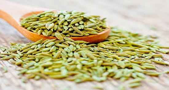 مقدار مصرف رازیانه برای نوزاد ؛ برای زردی نوزادان چقدر رازیانه مصرف کنم