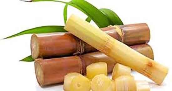 ملاس نیشکر برای سفیدی مو ؛ ایا مصرف ملاس نیشکر برای مو مفیده
