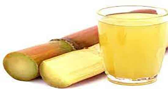 ملاس نیشکر برای گیاه ؛ تقویت ریشه گیاهان با دادن ملاس به انها