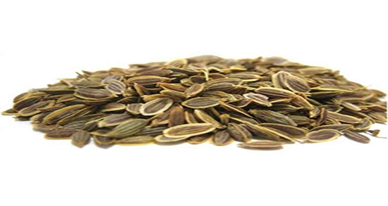 میتخم و کاهش وزن ؛ ایا مصرف میتخم برای چربی سوزی و لاغری مفیده