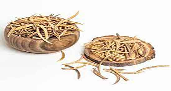 ناخنک در طب سنتی ؛ درمان عفونت چشم از نظر طب سنتی